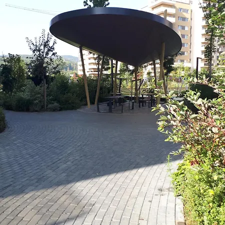 Wonderful Apartment Brasov